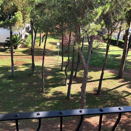 Studio 150m de la mer Argelès-sur-Mer Eksteriør bilde